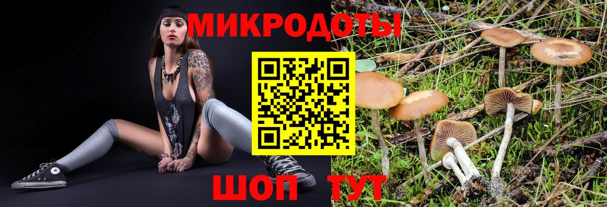 купить наркотики сайты  Галлюциногенные грибы мицелий  Вход с VPN  Новый Уренгой 