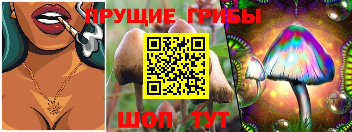 Псилоцибиновые грибы Psilocybine cubensis Новый Уренгой
